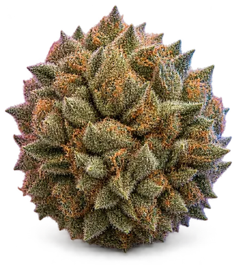 AI-generated illustration of a cannabis flower for the Jet Fuel Gelato page, not a photo of the strain