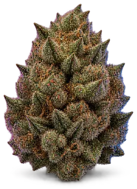 AI-generated illustration of a cannabis flower for the Jet Fuel OG page, not a photo of the strain