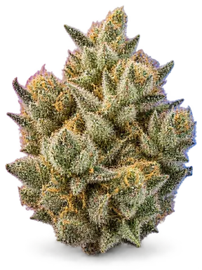 AI-generated illustration of a cannabis flower for the Jet Juice page, not a photo of the strain