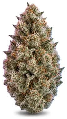 AI-generated illustration of a cannabis flower for the JF 2 page, not a photo of the strain