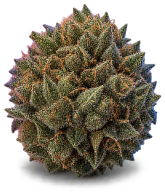 AI-generated illustration of a cannabis flower for the Joe Joe Kush page, not a photo of the strain