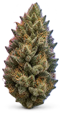 AI-generated illustration of a cannabis flower for the Joe OG page, not a photo of the strain