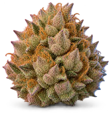 AI-generated illustration of a cannabis flower for the Jokerz Candy page, not a photo of the strain