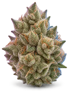 AI-generated illustration of a cannabis flower for the Juice Lee 33 page, not a photo of the strain