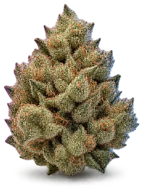 AI-generated illustration of a cannabis flower for the Jungle Cake Lab Test page, not a photo of the strain
