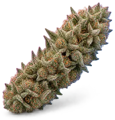 AI-generated illustration of a cannabis flower for the KB49 page, not a photo of the strain