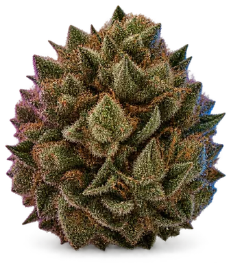 AI-generated illustration of a cannabis flower for the Khalifa Kush page, not a photo of the strain