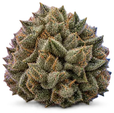 AI-generated illustration of a cannabis flower for the Kimbo Kush page, not a photo of the strain