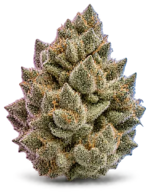 AI-generated illustration of a cannabis flower for the King Tut page, not a photo of the strain