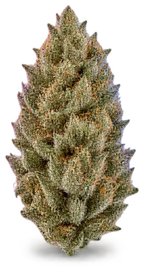 AI-generated illustration of a cannabis flower for the Kkg page, not a photo of the strain