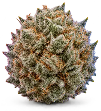 AI-generated illustration of a cannabis flower for the Kog page, not a photo of the strain