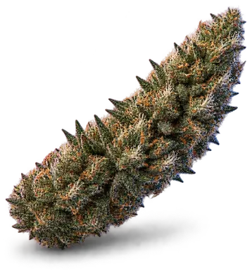 AI-generated illustration of a cannabis flower for the Kritical Kush Swc page, not a photo of the strain