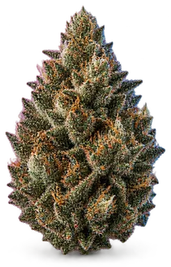 AI-generated illustration of a cannabis flower for the Kush Cake page, not a photo of the strain