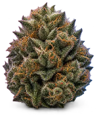 AI-generated illustration of a cannabis flower for the Kushco OG page, not a photo of the strain