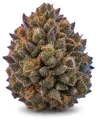AI-generated illustration of a cannabis flower for the Kushman Grape Ape page, not a photo of the strain