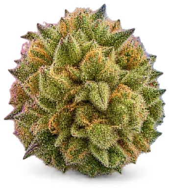 AI-generated illustration of a cannabis flower for the Kush Mints page, not a photo of the strain