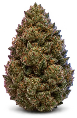AI-generated illustration of a cannabis flower for the Kush Mountains page, not a photo of the strain