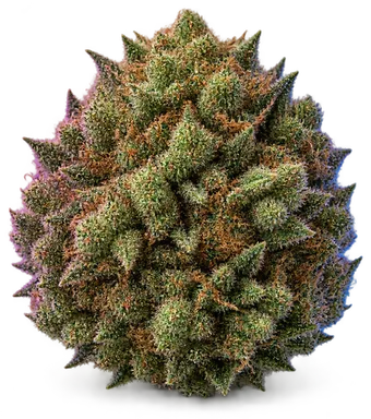 AI-generated illustration of a cannabis flower for the LA Confidential page, not a photo of the strain