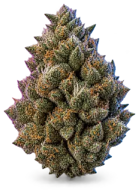 AI-generated illustration of a cannabis flower for the LA Kush Cake page, not a photo of the strain