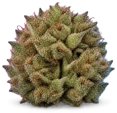 AI-generated illustration of a cannabis flower for the LA LA Land 1 page, not a photo of the strain