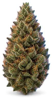 AI-generated illustration of a cannabis flower for the LA OG page, not a photo of the strain