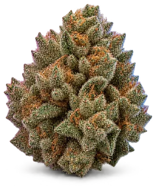 AI-generated illustration of a cannabis flower for the Larry Lab Test page, not a photo of the strain