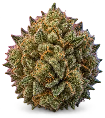 AI-generated illustration of a cannabis flower for the LA Runtz page, not a photo of the strain