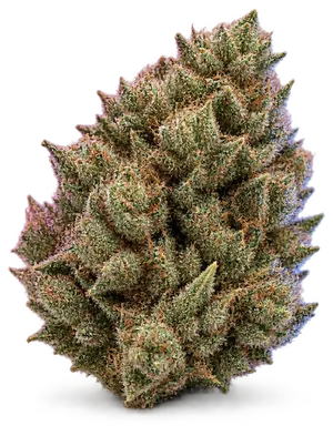 AI-generated illustration of a cannabis flower for the LA Runtz A page, not a photo of the strain