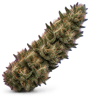 AI-generated illustration of a cannabis flower for the Las Vegas Kush Cake page, not a photo of the strain