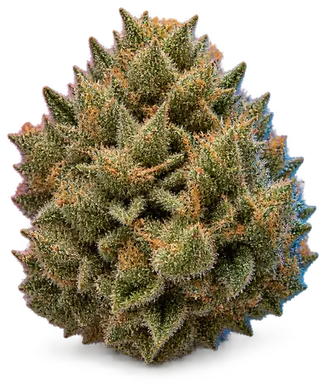 AI-generated illustration of a cannabis flower for the Lava Cake page, not a photo of the strain