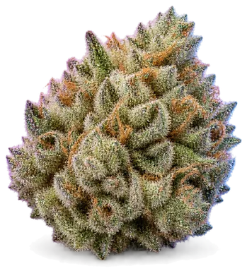 AI-generated illustration of a cannabis flower for the Lavender page, not a photo of the strain