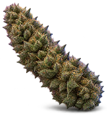 AI-generated illustration of a cannabis flower for the Legend OG page, not a photo of the strain
