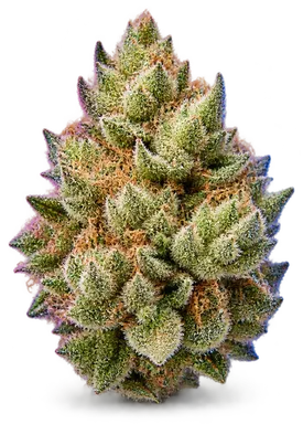 AI-generated illustration of a cannabis flower for the Lemonade Dream page, not a photo of the strain
