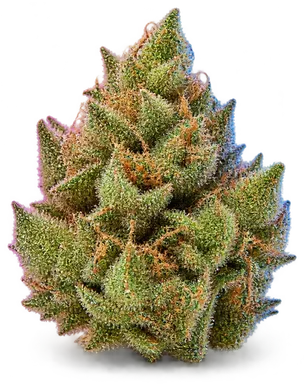 AI-generated illustration of a cannabis flower for the Lemon Dawg page, not a photo of the strain