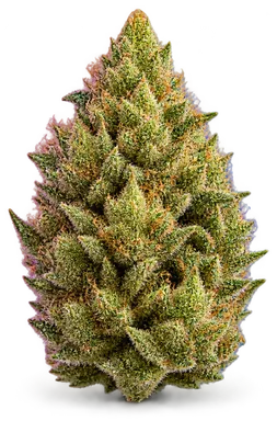 AI-generated illustration of a cannabis flower for the Lemondropcookies 2 page, not a photo of the strain