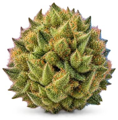 AI-generated illustration of a cannabis flower for the Lemonessence page, not a photo of the strain