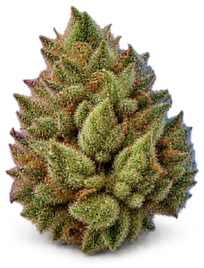 AI-generated illustration of a cannabis flower for the Lemon Granita page, not a photo of the strain