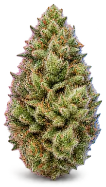 AI-generated illustration of a cannabis flower for the Lemon Haze page, not a photo of the strain