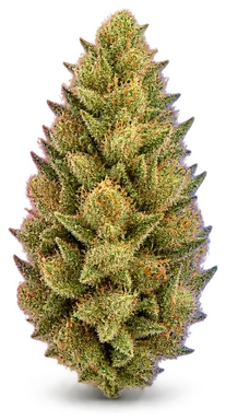 AI-generated illustration of a cannabis flower for the Lemonhead page, not a photo of the strain