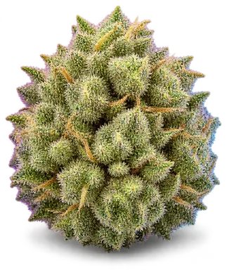 AI-generated illustration of a cannabis flower for the Lemon Lung Slapper page, not a photo of the strain
