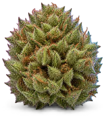 AI-generated illustration of a cannabis flower for the Lemonnade page, not a photo of the strain