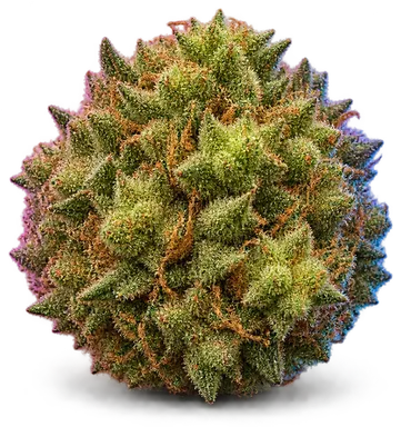 AI-generated illustration of a cannabis flower for the Lemon OG page, not a photo of the strain