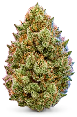 AI-generated illustration of a cannabis flower for the Lemon OG X Haze 7 page, not a photo of the strain