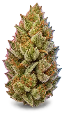AI-generated illustration of a cannabis flower for the Lemon Pastries page, not a photo of the strain