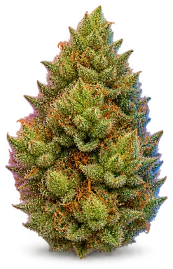 AI-generated illustration of a cannabis flower for the Lemon Pepper page, not a photo of the strain