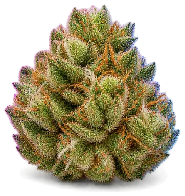 AI-generated illustration of a cannabis flower for the Lemon Tart page, not a photo of the strain