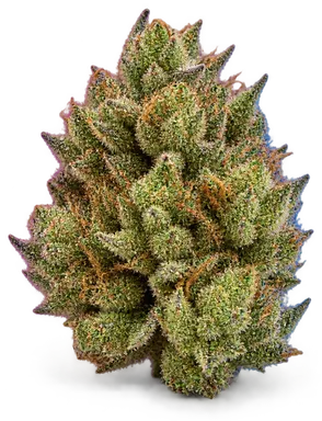 AI-generated illustration of a cannabis flower for the Lemon Venom Swc page, not a photo of the strain