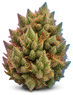 AI-generated illustration of a cannabis flower for the Lemon Zest page, not a photo of the strain