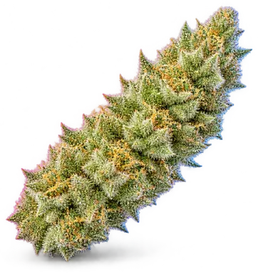 AI-generated illustration of a cannabis flower for the Limeade Kush page, not a photo of the strain