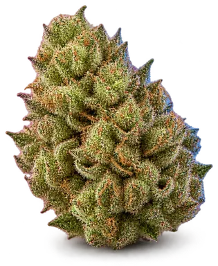 AI-generated illustration of a cannabis flower for the Lime Glow page, not a photo of the strain